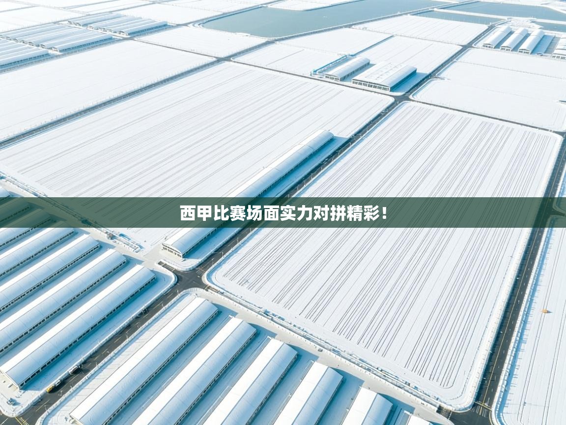 西甲比赛场面实力对拼精彩！  第1张