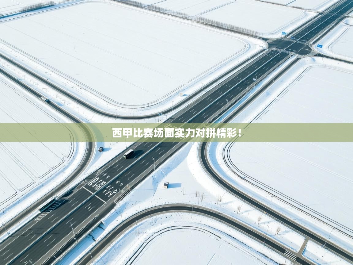 西甲比赛场面实力对拼精彩！  第2张