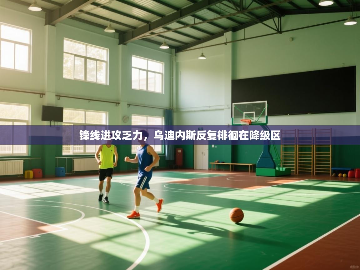 锋线进攻乏力，乌迪内斯反复徘徊在降级区  第2张