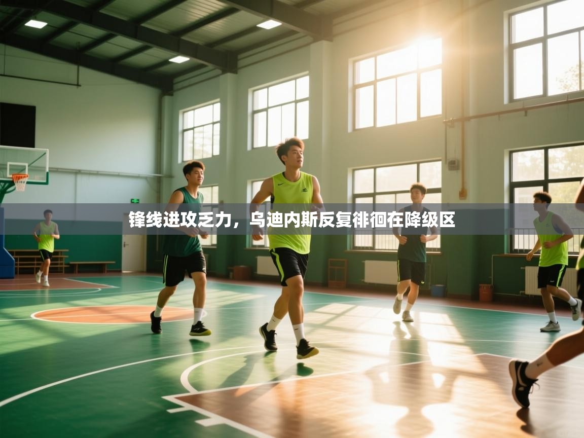 锋线进攻乏力，乌迪内斯反复徘徊在降级区  第1张