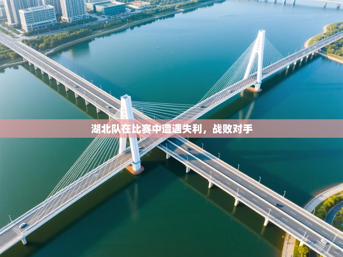 湖北队在比赛中遭遇失利，战败对手  第1张