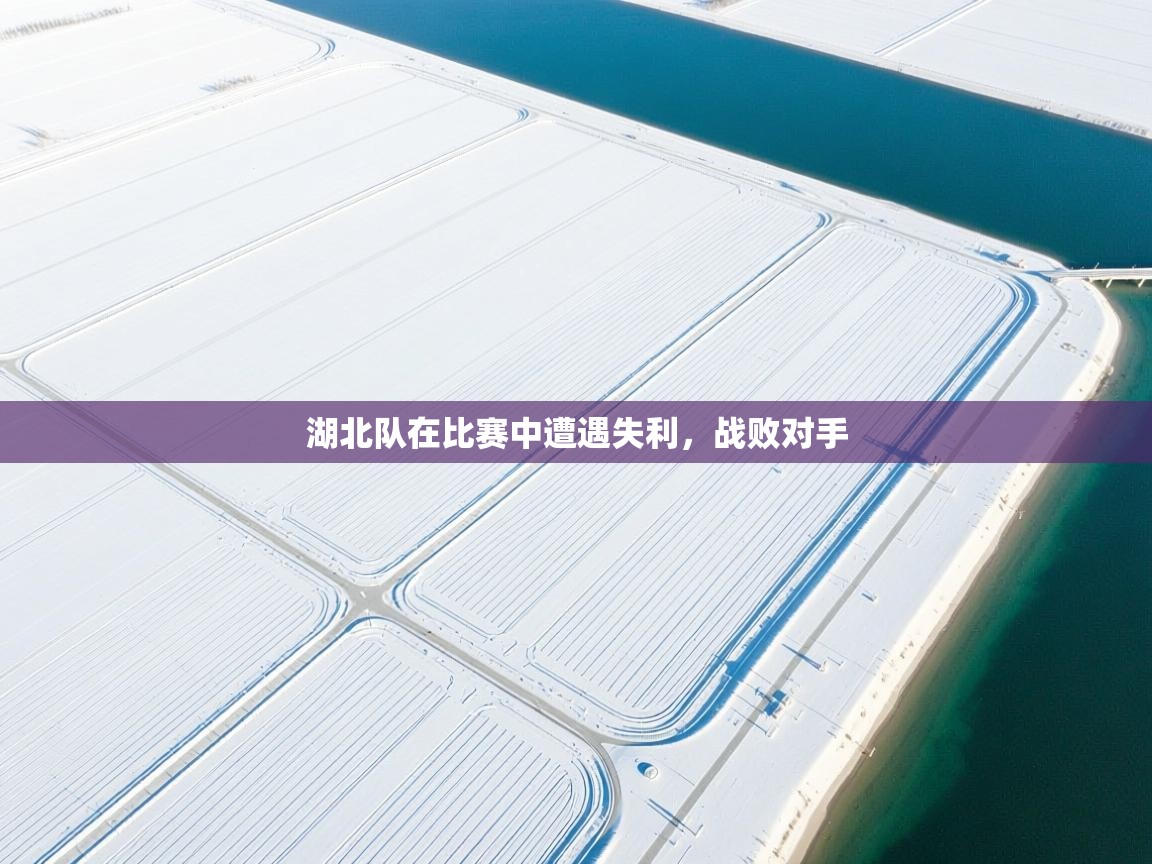 湖北队在比赛中遭遇失利，战败对手  第2张