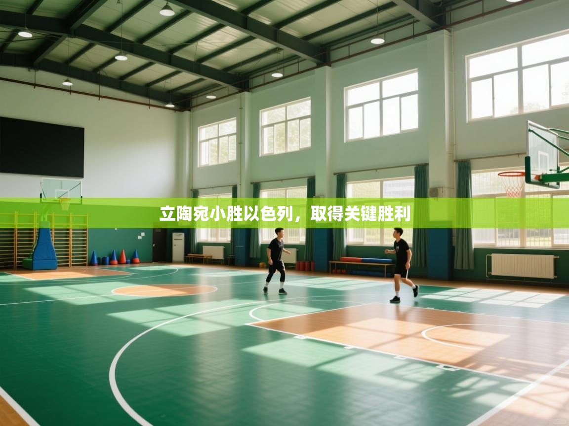 立陶宛小胜以色列，取得关键胜利  第2张