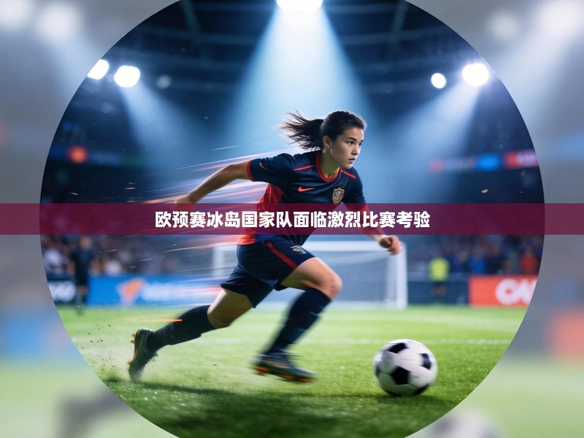 欧预赛冰岛国家队面临激烈比赛考验 第2张